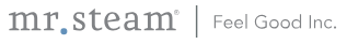 MrSteam Logo